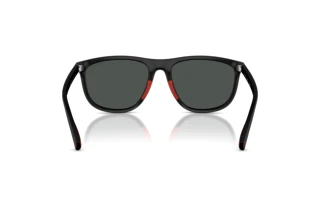 Rear view Polo PH4231U (550487)