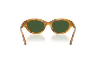 Rear view Polo PH4237U (618571)