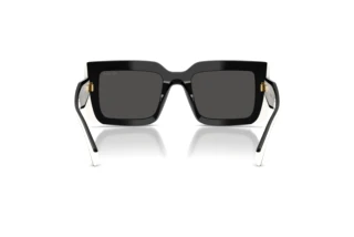 Rear view Prada PR D01S (20G08Z)
