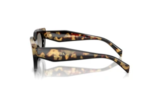 Side view Prada PR D02S (0CD80L)