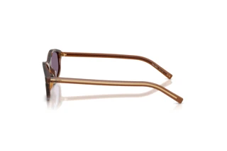 Side view Prada PR D17S (25O70W)