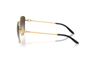 Side view Ralph Lauren THE VIVIENNE (RL7079 - 90048G)