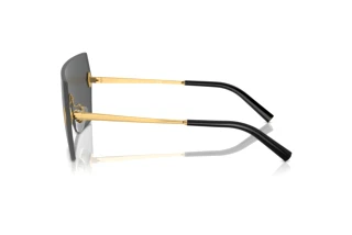 Side view Ralph Lauren THE HARPER (RL7085 - 900487)