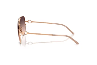 Side view Ralph Lauren RL7087 (9329U8)