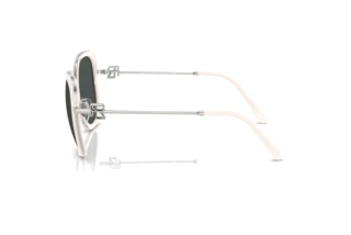 Side view Ralph Lauren RL7088 (900187)