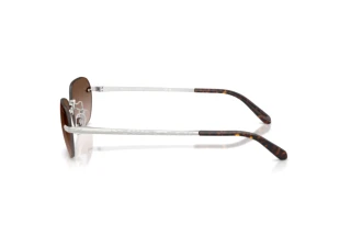 Side view Ralph Lauren RL7089 (900113)
