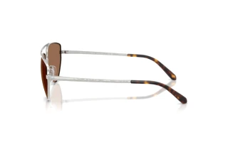 Side view Ralph Lauren RL7090 (900173)