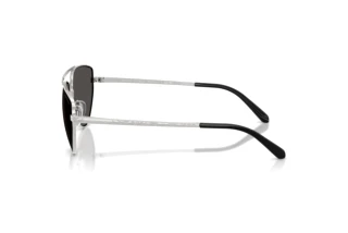 Side view Ralph Lauren RL7090 (900187)