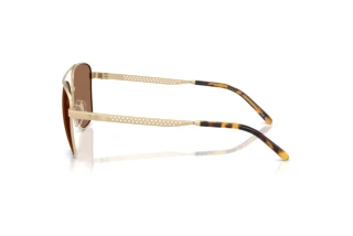 Side view Ralph Lauren RL7091 (947873)