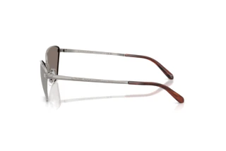 Side view Ralph Lauren RL7093 (90026G)