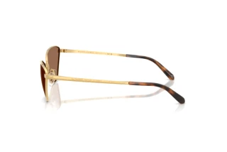 Side view Ralph Lauren RL7093 (900473)