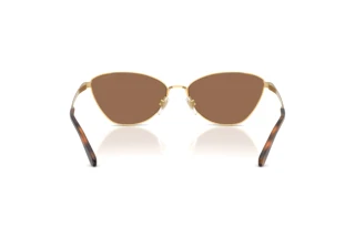 Rear view Ralph Lauren RL7093 (900473)