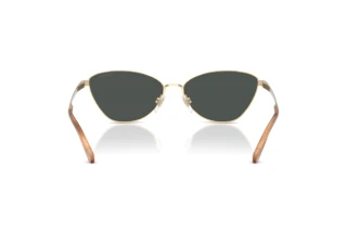 Rear view Ralph Lauren RL7093 (911687)