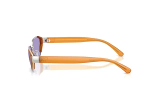 Side view Ralph Lauren RL7094 (90011A)