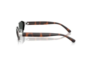 Side view Ralph Lauren RL7094 (900187)