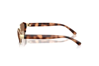 Side view Ralph Lauren RL7094 (911673)