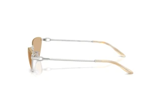 Side view Ralph Lauren RL7095 (9001/8)