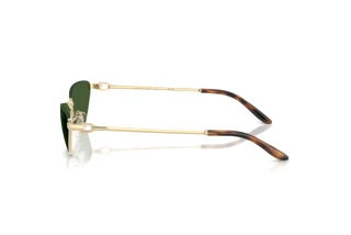 Side view Ralph Lauren RL7095 (911671)