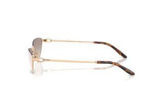 Side view Ralph Lauren RL7095 (94876E)