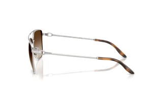 Side view Ralph Lauren RL7096 (900113)