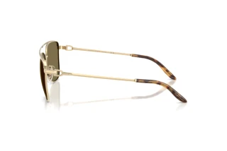Side view Ralph Lauren RL7096 (911673)