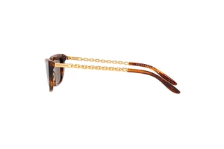 Side view Ralph Lauren RL8173 (500773)