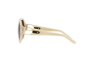 Side view Ralph Lauren RL8188Q (608474)