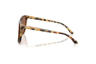 Side view Ralph Lauren RL8201 (500473)