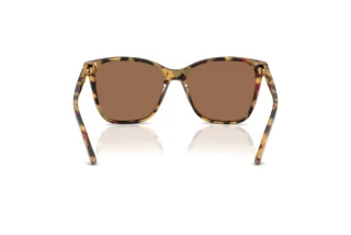 Rear view Ralph Lauren RL8201 (500473)