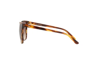 Side view Ralph Lauren RL8201 (500713)