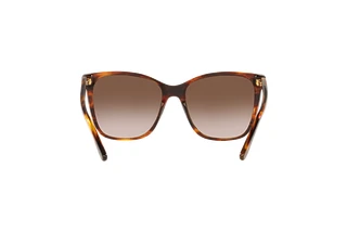 Rear view Ralph Lauren RL8201 (500713)