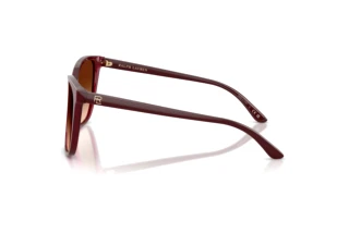 Side view Ralph Lauren RL8201 (591274)