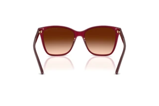 Rear view Ralph Lauren RL8201 (591274)