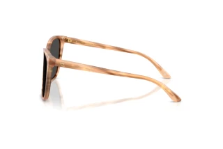Side view Ralph Lauren RL8201 (617987)