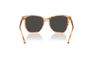 Rear view Ralph Lauren RL8201 (617987)