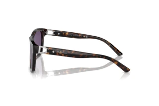 Side view Ralph Lauren RL8203QU (50031A)