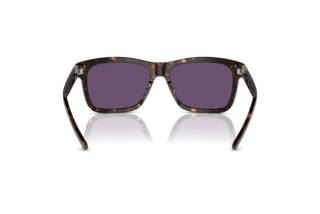 Rear view Ralph Lauren RL8203QU (50031A)