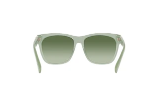 Rear view Ralph Lauren THE RICKY II (RL8212 - 60498E)