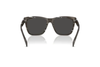Rear view Ralph Lauren THE RICKY II (RL8212 - 617587)