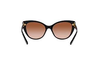 Rear view Ralph Lauren RL8215BU (500113)