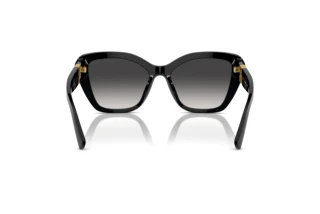 Rear view Ralph Lauren THE ISABEL (RL8216U - 50018G)