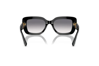 Rear view Ralph Lauren THE NIKKI (RL8217U - 500179)