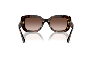 Rear view Ralph Lauren THE NIKKI (RL8217U - 500313)