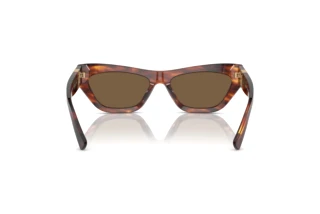 Rear view Ralph Lauren THE KIERA (RL8218U - 500773)