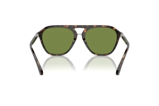 Rear view Ralph Lauren THE HUGH (RL8219U - 50034E)