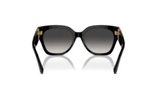Rear view Ralph Lauren THE OVERSZED RICKY (RL8221 - 50018G)