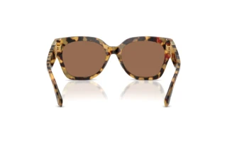 Rear view Ralph Lauren THE OVERSZED RICKY (RL8221 - 500473)