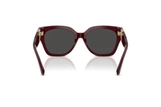 Rear view Ralph Lauren THE OVERSZED RICKY (RL8221 - 508387)