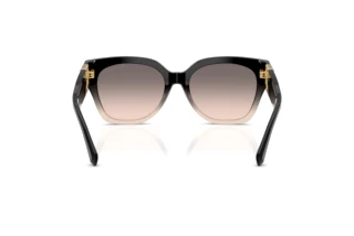 Rear view Ralph Lauren THE OVERSZED RICKY (RL8221 - 60223B)