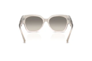 Rear view Ralph Lauren THE OVERSZED RICKY (RL8221 - 611208)